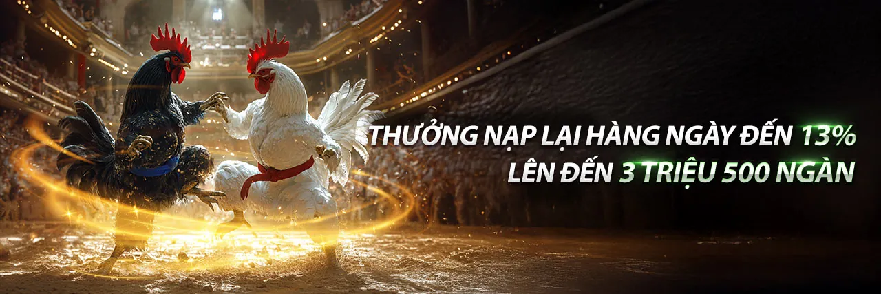 Hình ảnh chính về mã MI88 và sòng bạc trực tuyến